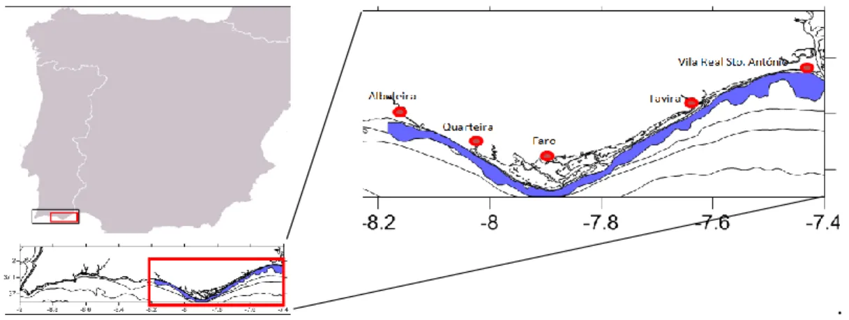 Fig. 2.1 - Study area. 