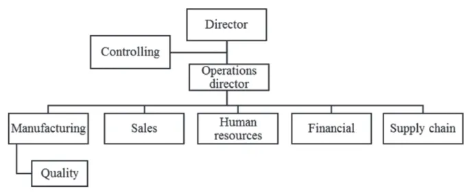 Figure 4 Organizational chart Source: Prepared by the authors.