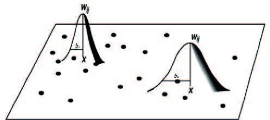 Figure 5. Spatial weighting functions with adaptive Bandwidth.