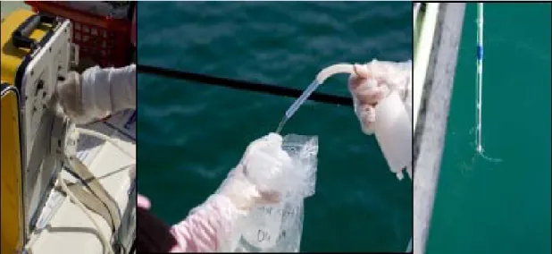 Fig. 8 - 'Clean-Dirty Hands' Protocol Implimentation during Sampling from Algeciras Bay  