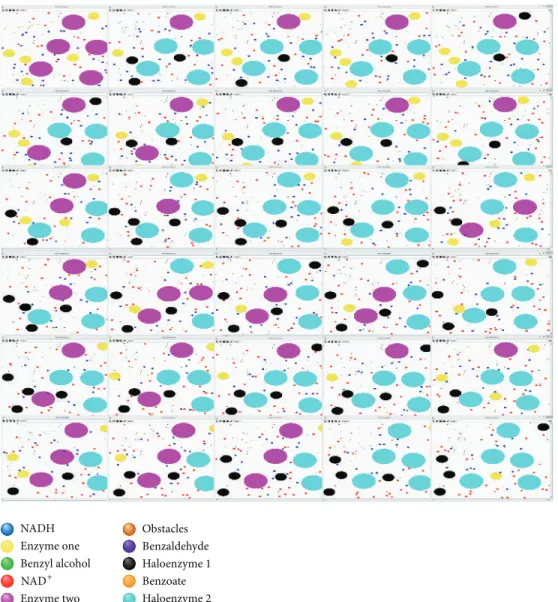 Figure 4: Visual illustration of the evolving of the population of agents during the simulation steps.