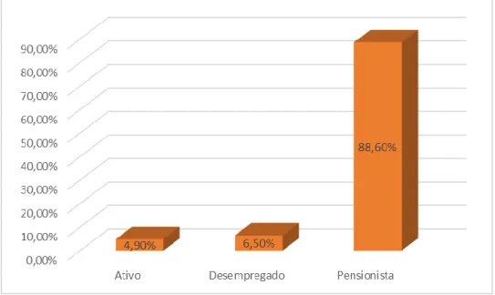 Gráfico 5 – Distribuição da amostra segundo a situação profissional 