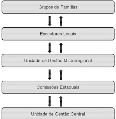 Figura 3: Estrutura de gestão do P1MC 