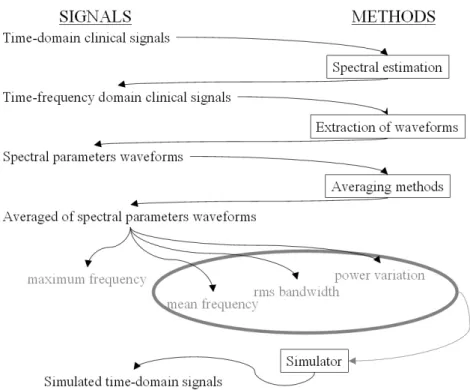 Figure 3.1 shows a general scheme of how the methods and signals used in this  chapter are related