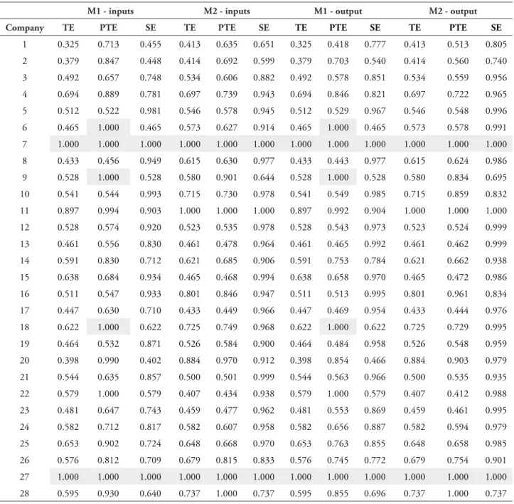 tABLe 3 – Eiciencies of Hotel Companies of Algarve for the Year 2007 (Models M1 and M2)