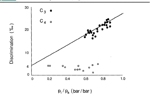 Figura 14 – Discriminação  δ 13 C para plantas C 3  e C 4  considerando as pressões parciais de CO 2  no ambiente (p a ) e  intracelular (p i )