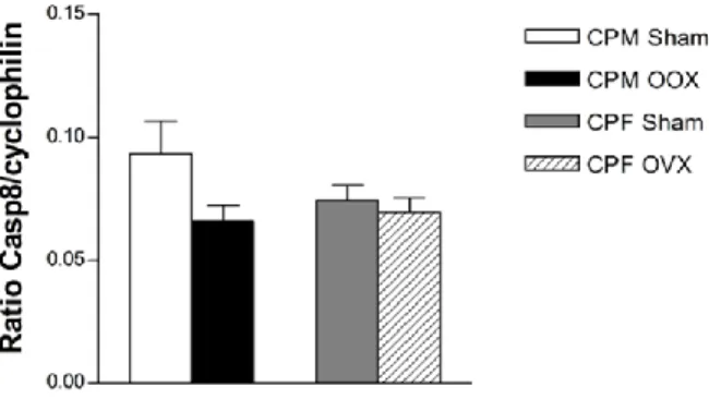 Figura 10 – Níveis de expressão do mRNA do gene Cflar em CP de rato. A expressão do gene Cflar tende a diminuir  no grupo machos OOX relativamente ao grupo Sham, sem significado estatístico; a expressão génica entre os grupos  Sham e OVX das fêmeas também 