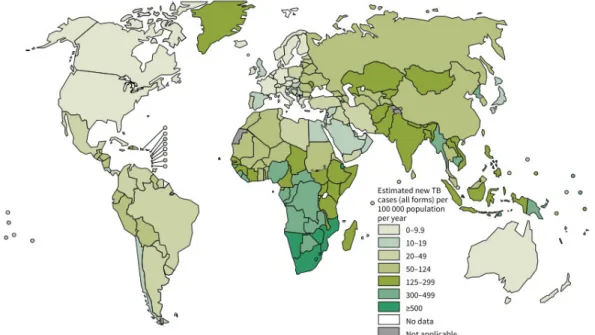 Figure 1.1. Estimated TB incidence rates, 2013. 1