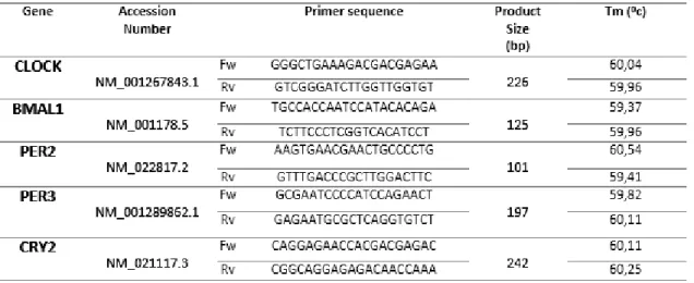 Table 4 - Sequence of the housekeeping genes primers and characteristics 