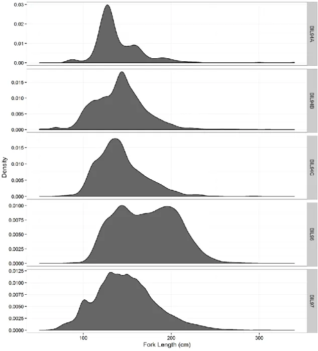 Figure  3.  Size-frequency  distributions  of  shortfin  mako  sharks  (Isurus  oxyrinchus),  caught  in  the  ICCAT  sampling areas of the Atlantic Ocean by the Portuguese pelagic longline fleet (1997-2015).