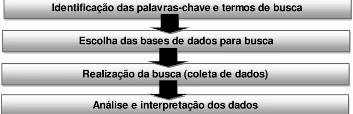 Figura 1 - Passos realizados para RSL 