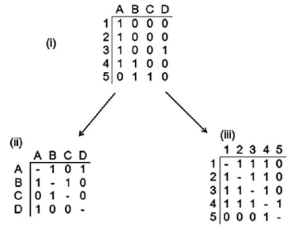 Figura 1 – Matriz retangular “caso-por-ailiação” (i) e matrizes de  adjacência: “empresa-por-empresa” (ii) e “diretor-por-diretor” (iii).
