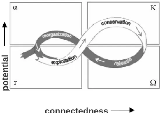Figure 5 - Adaptive cycle of complex systems, adapted from Holling (2001) 