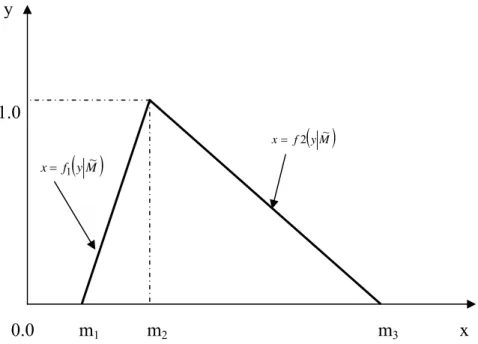 Figure 1. A Triangular Fuzzy Number,  M ~