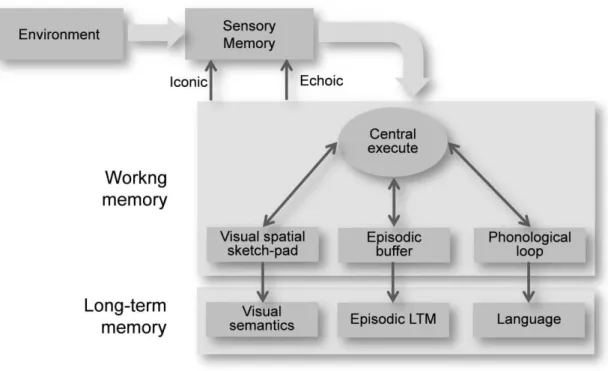 Figure 1: Representation of Human Memory 