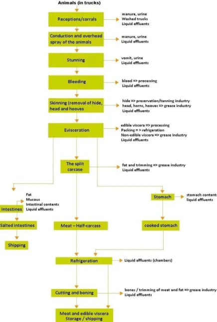 Figure 4  –  Basic flowchart of bovine slaughter 