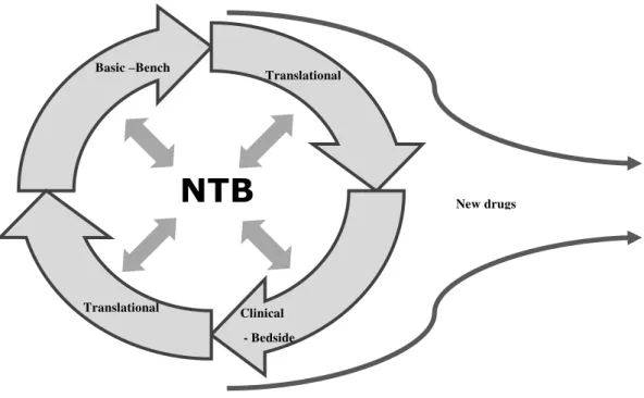 Figure 5 – The role played by the National Tumor Bank in INCA´s research  Source: by the authors 