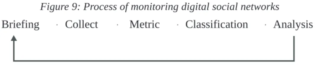 Figure 9: Process of monitoring digital social networks