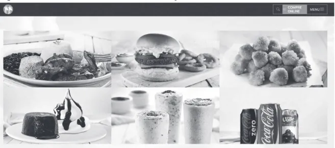 Figura 5 – Site com média interatividade da empresa “Girafas”