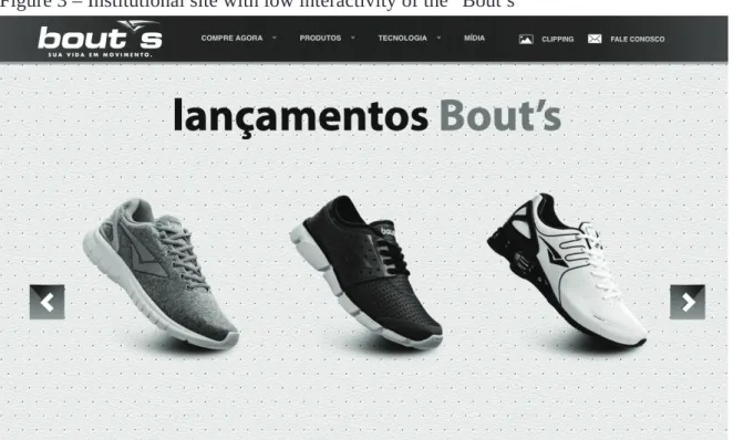 Figure 3 – Institutional site with low interactivity of the “Bout’s”