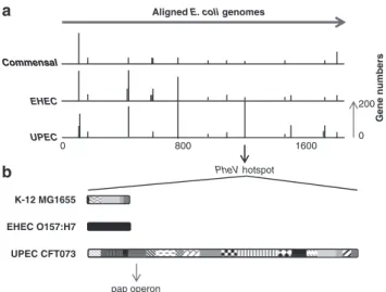 Figure 2 When complete genomes of E. coli strains are aligned, typical insertion/deletion hotspots can be identified at  corre-sponding locations, as hypothetically displayed in (a)