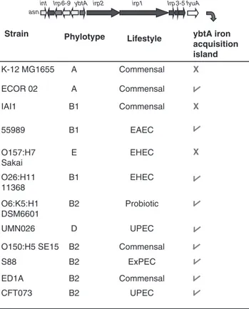 Figure 3 Occurrence of the mobile ybt operon encoding the yersiniabactin (Ybt) iron-acquisition system across E