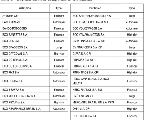 Table 5 - Segmentation of companies in the market 