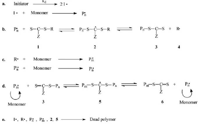 Figure  8-  Proposed  RAFT  polymerization  Mechanism  as  proposed  by  [79].  Briefly,  initiation  and  propagation  (a);  RAFT  pre-equilibrium  (b);  re-initiation  (c);  main  RAFT  equilibrium (d) and termination (e)