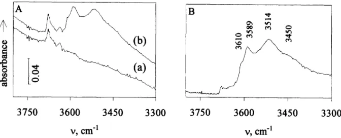 Figure  9  A:  FT  i.r.  spectra  of  CoAPO-40:  calcined  (a)  and  after  a  hydrogen  treatment  lb)