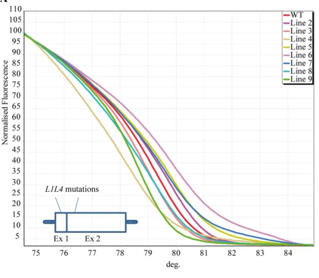 Figure 1. Selection of lines carrying different single gene mutations 