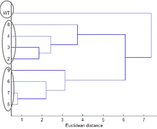 Figure 3. Principal component analysis of fruit quality parameters 