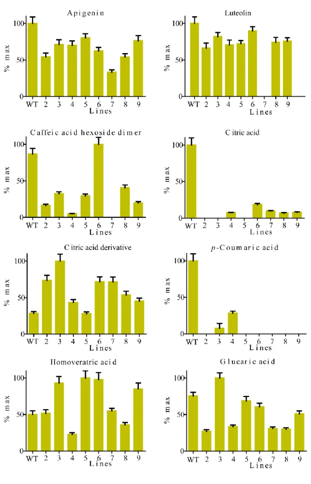 Figure 4. Seed metabolic profiling 