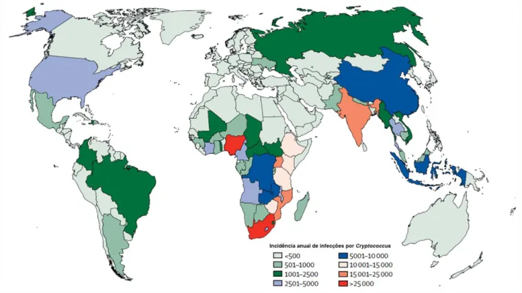 Figura 1. Incidência anual de infecções por Cryptococcus por país. Adaptado de (Rajasingham et al., 2017)