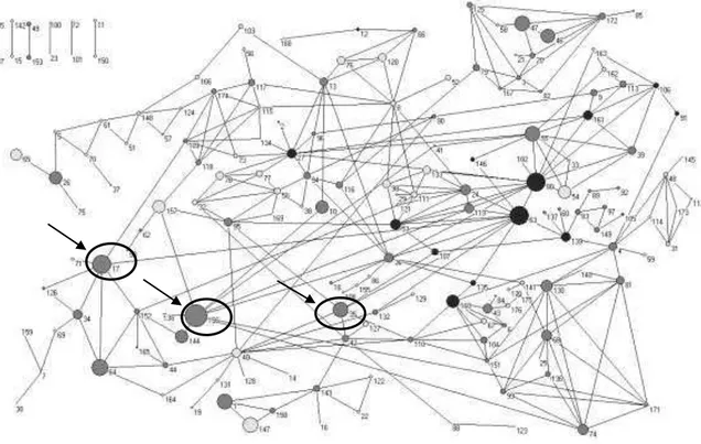 Figura 12 - Rede de coautoria - Produtividade x Inserção na rede 