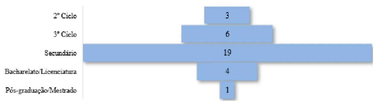 Tabela 9- Habilitações literárias dos colaboradores 
