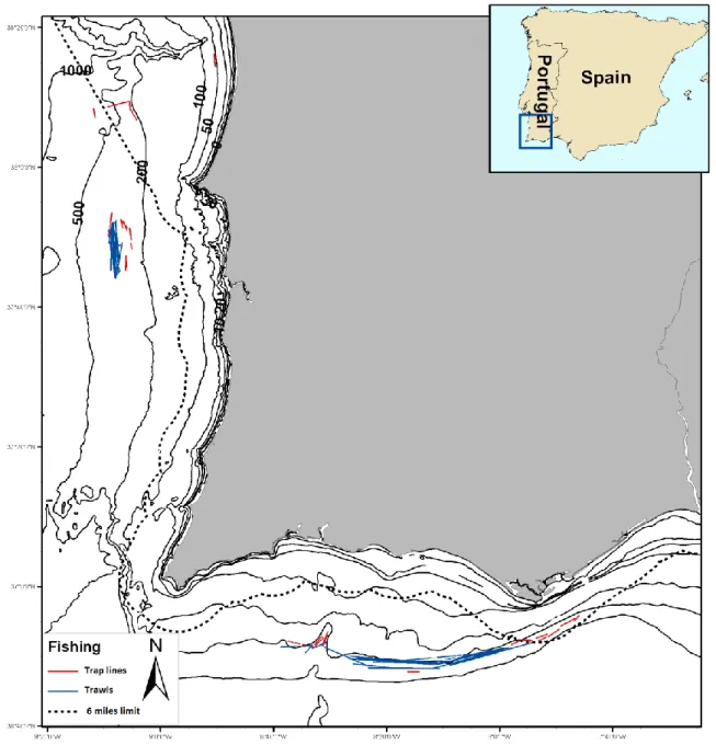 Fig. 6 Conducted field work during the experimental phase indicated by blue lines (trawls) and red lines  (traps) along the South and South-West Coast of Portugal