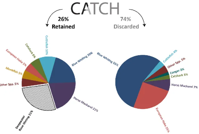 Fig. 7 The catch retained in 26 tows in a commercial codend with 55 m diamond square mesh panels  directed towards deepwater rose shrimp (pattern fill) in the Algarve