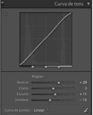 Fig. 3 Painel Curva de Tons do Lightroom. 