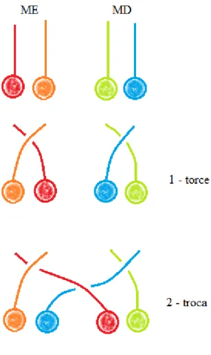Figura 3 – Meio trocado.