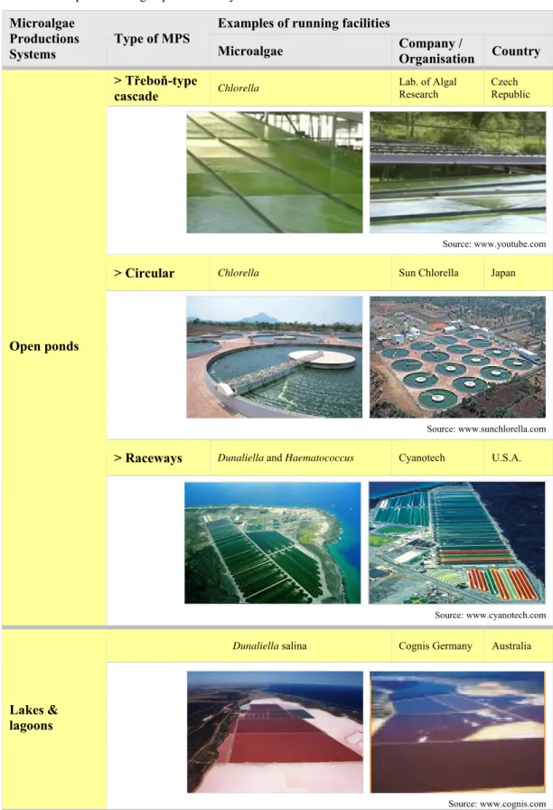 Table 6 – Open microalgae production systems. 