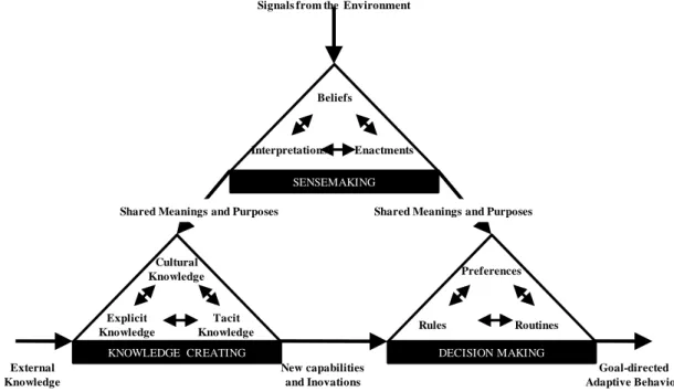 Figure 1. The Cycle of the Knowing Organization.  