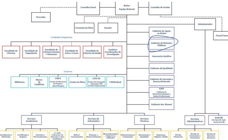 Figura 12 - Organograma da UBI