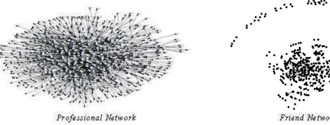 Figure 2. Sociogram of Professional and Friend Networks. 