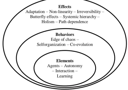 Figure 1. Elements, Behaviors and Effects of CAS. 
