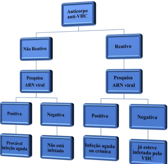 Figura 10: Fluxograma do diagnóstico da infeção pelo VHC. Adaptado de (Pawlotsky,  et al.,1997)