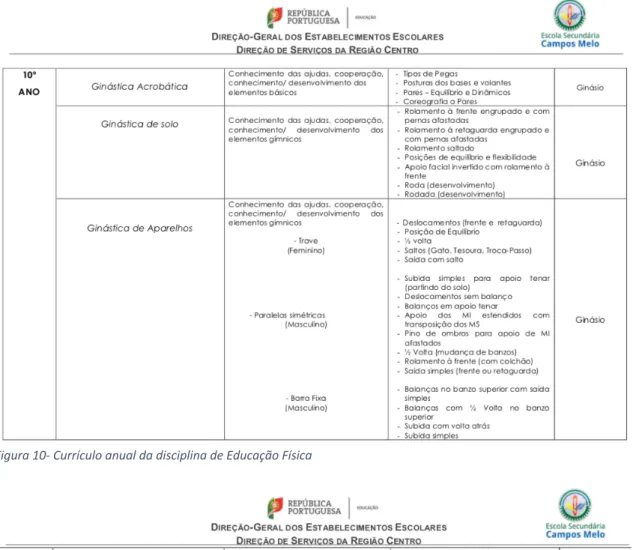 Figura 10- Currículo anual da disciplina de Educação Física 