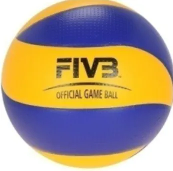 Fig. 3 Bola de Voleibol