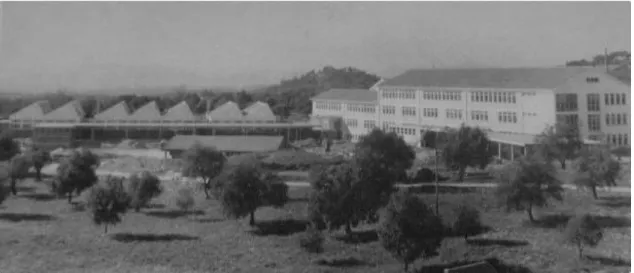 Figura 1- Escola Secundária Amato Lusitano após a conclusão das obras em 1962