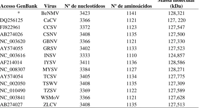 Tabela 3.2. Tamanho e massa molecular parcial da proteína GPp de BeNMV e de outros  tospovírus.