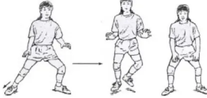 Figura  5-  Posição  base 